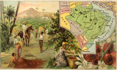 Brazil by American School